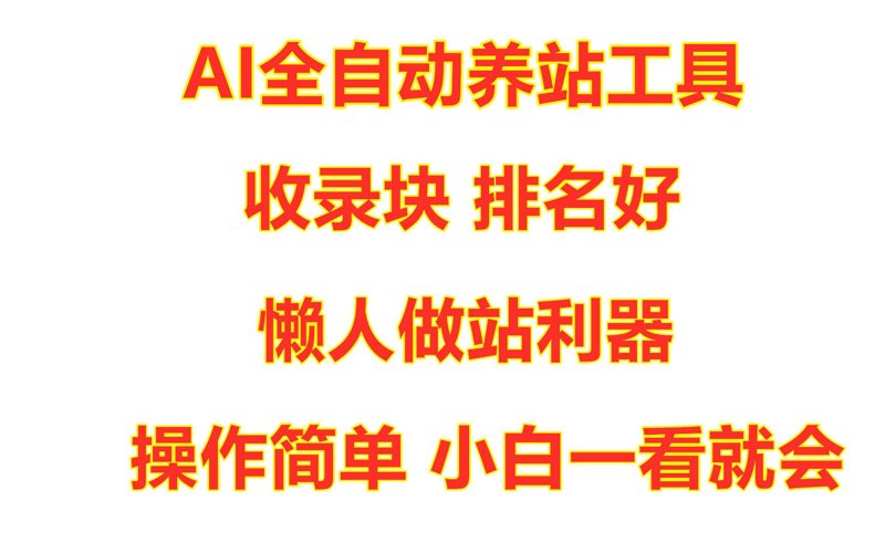 揭秘互联网时代的秘密武器：站群系统的崛起